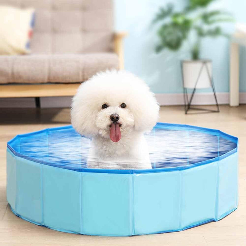 Piscina Resistente Para Pet